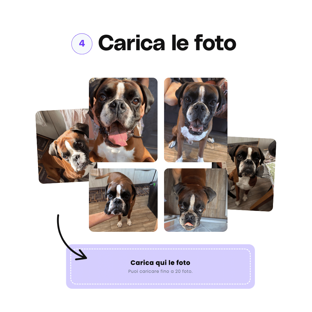 Crea il ritratto del tuo cucciolo del cuore