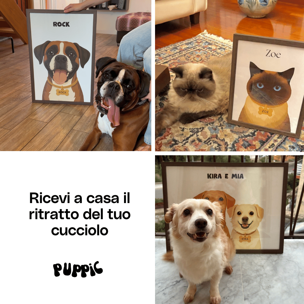 Crea il ritratto del tuo cucciolo del cuore